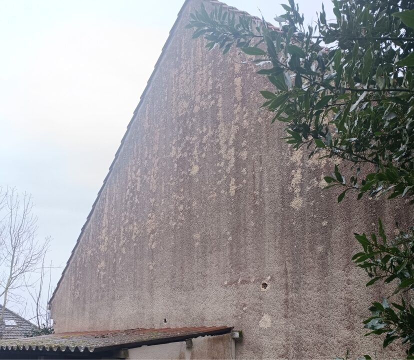 Façade avant nettoyage à Esbly, encrassement et salissures - état d'origine - Expertise Façades